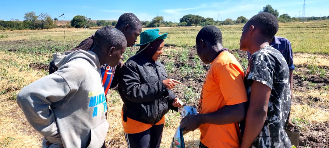 training on pest and disease ID, Chapulwa