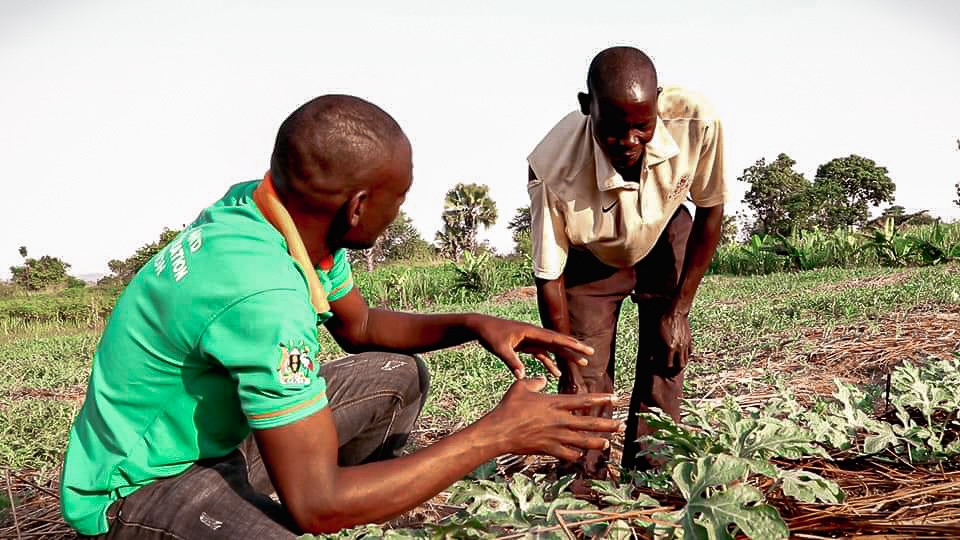 staff member trains farmer in Uganda