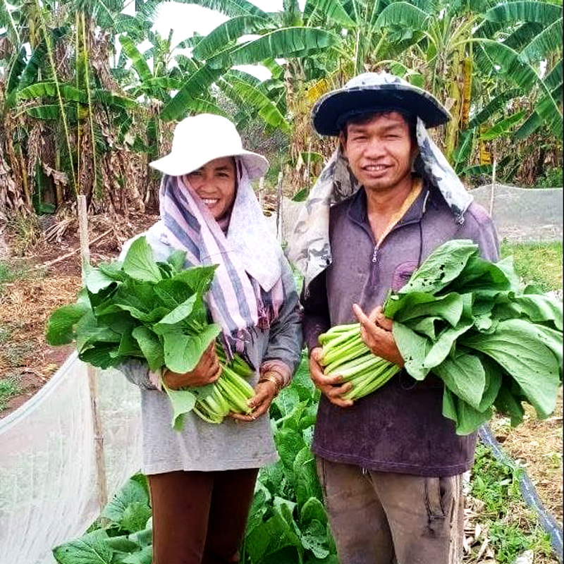 Farmer Sarin Chreng and his wife hold part of their caisim crop