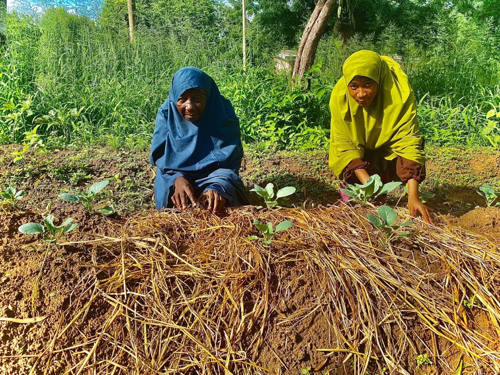 19-year-old Nusaibah Usman and her 75-year-old grandmother on their farm