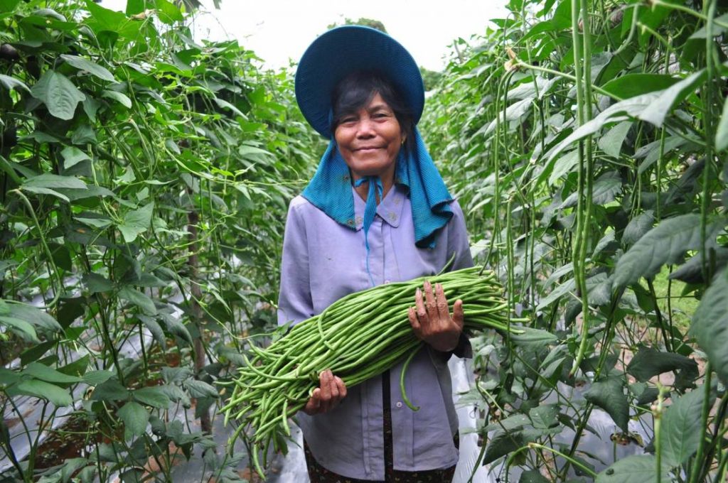 woman farmer with yard long beans