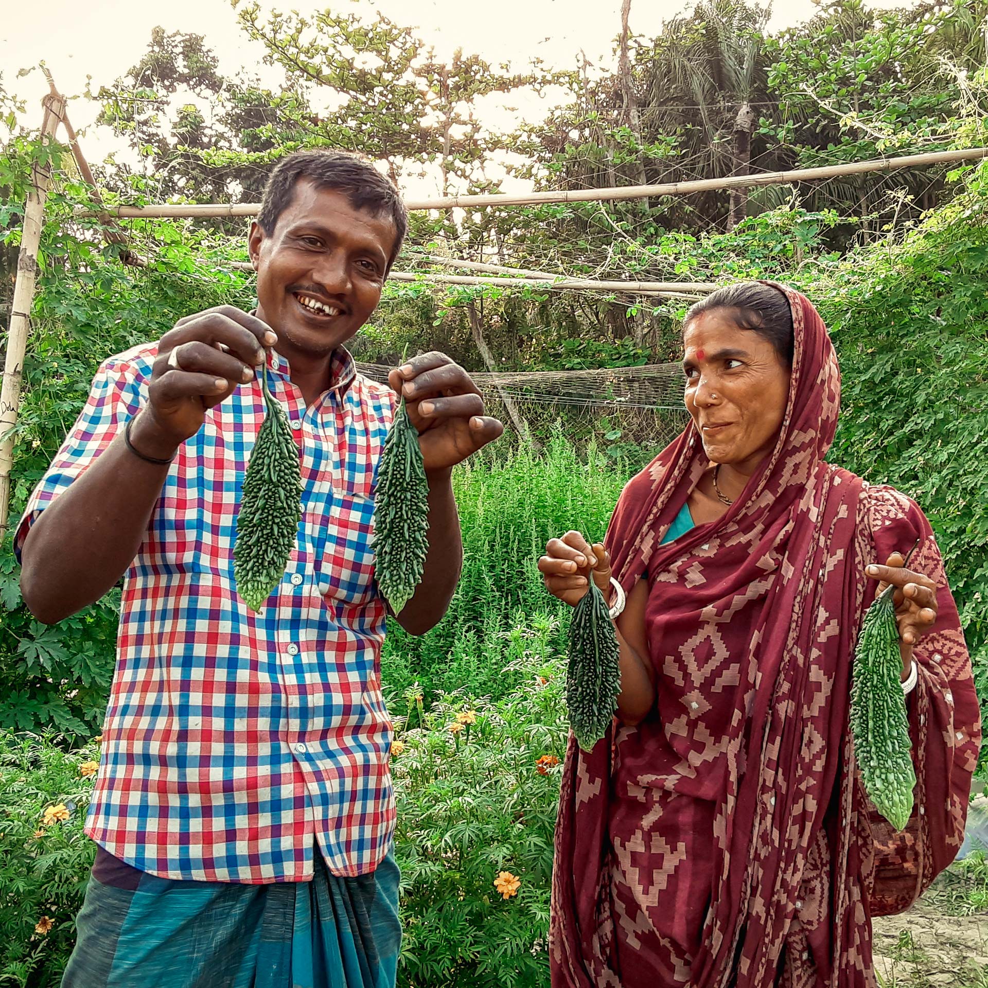 two farmers with bitter gourd