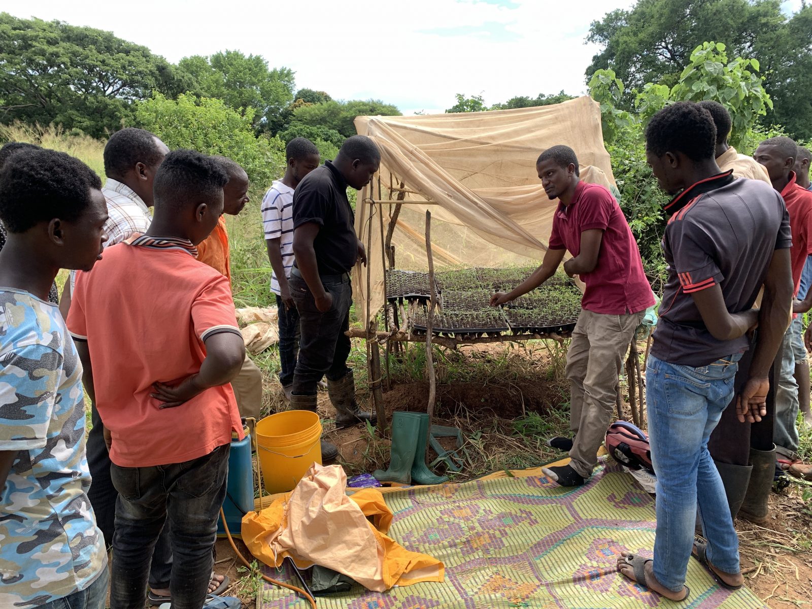 Tanzania men in seedling farm