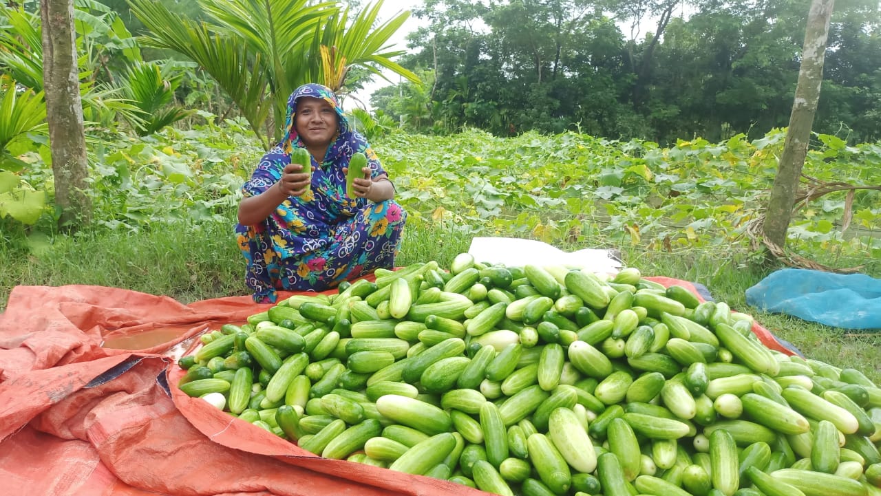 woman farmer with cucumbers