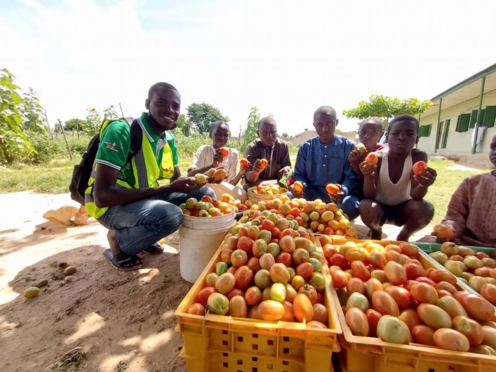 Umar Ubale sits with his tomato crop, surrounded by friends
