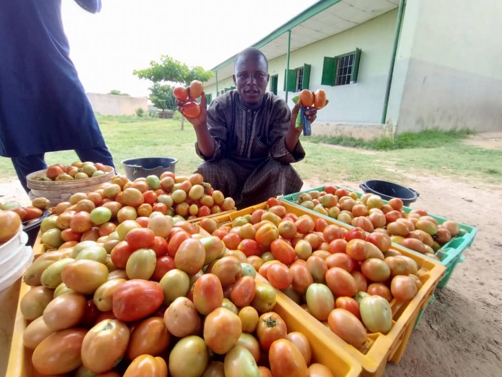 Umar Ubale with crates of tomatoes