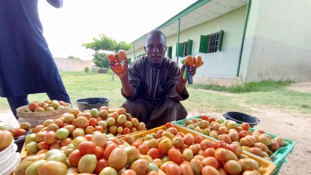 Umar Ubale with crates of tomatoes