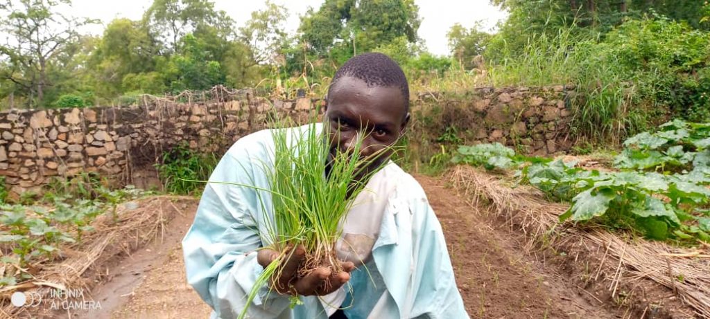 young farmer with onion plant at University of Juba learning farm