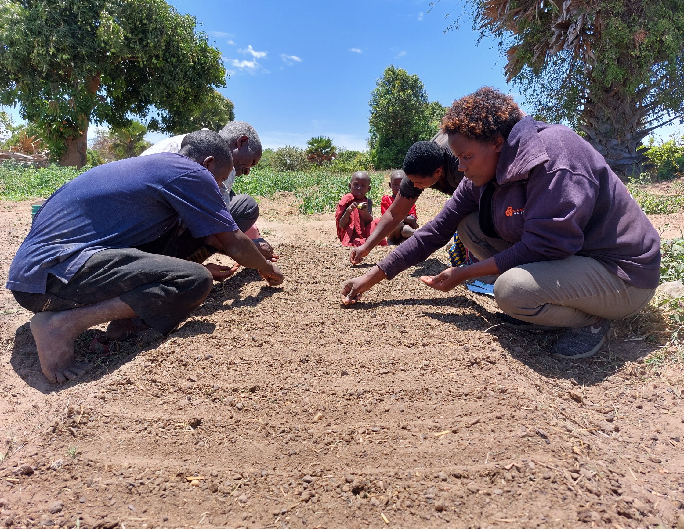 Farmers planting seeds in Tanzania