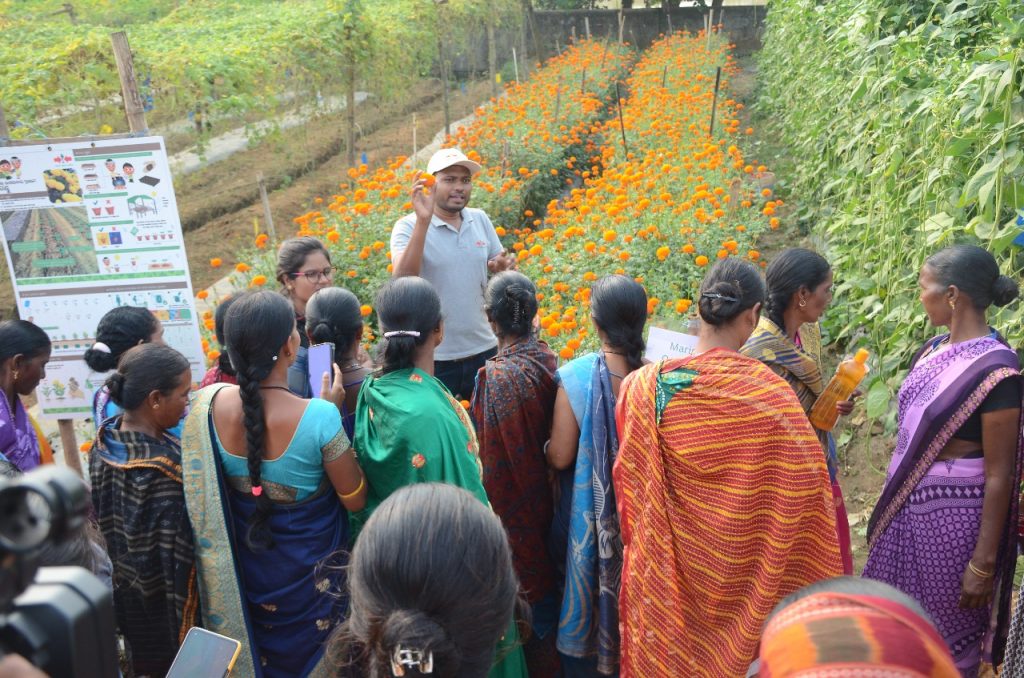 Technical supervisor explaining about the techniques used in vegetable production to the farmers