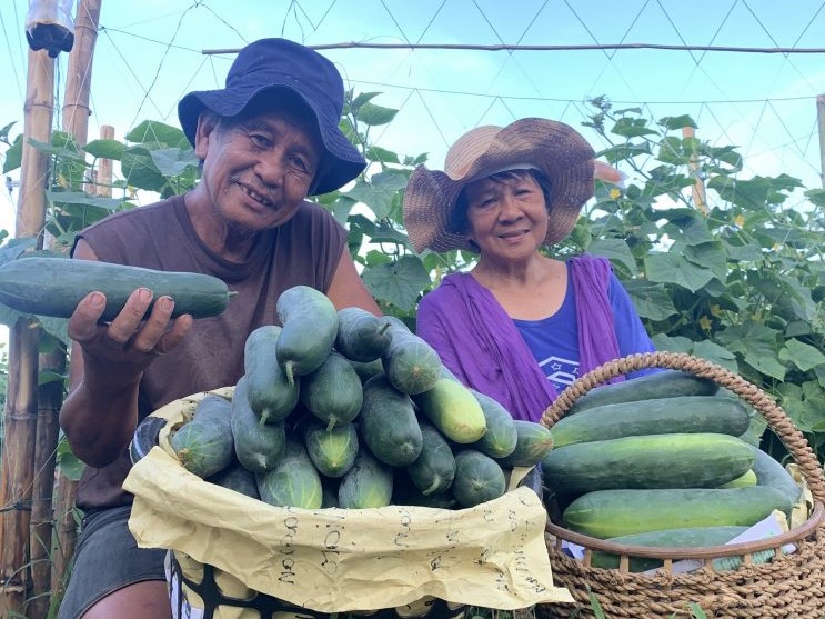 Farmers in the Philippines pose with their cucumber harvest