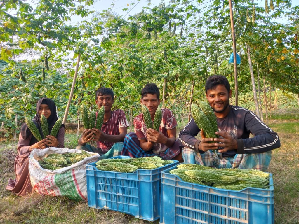 Farmers in Bangladesh with their bitter gourd harvest