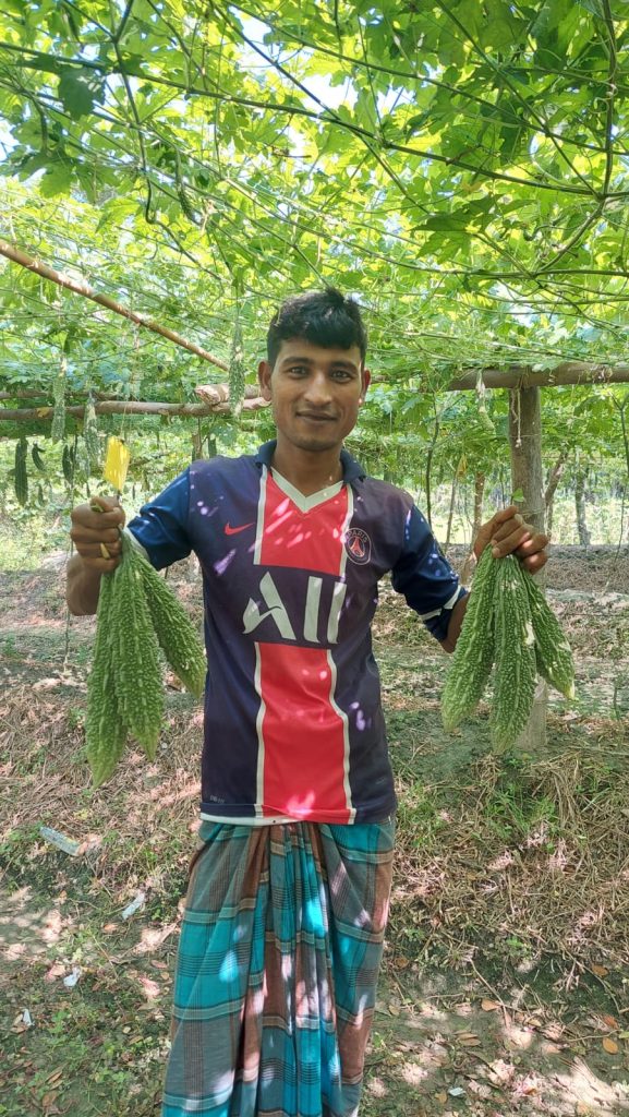 Ayub Ali holds up harvested bitter gourd fruits