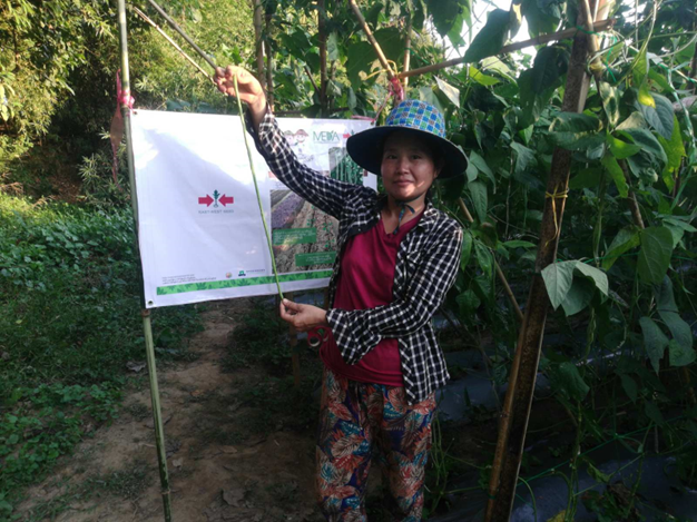 farmer Daw Naw Eae Tho by her vegetable plot