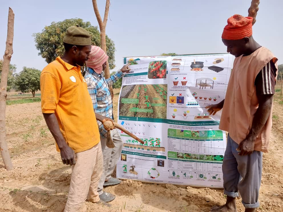 Nigerian farmers looking at field signboard