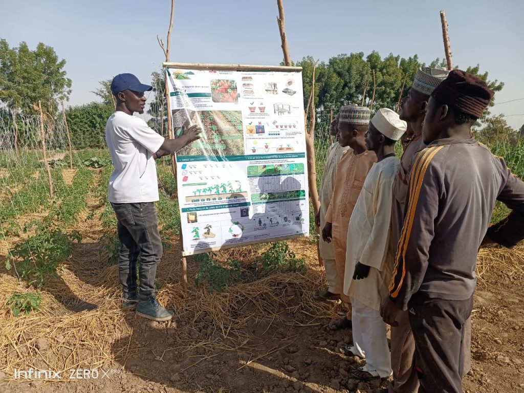 Farmers in Nigeria learn from a signboard during a training