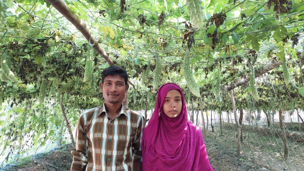 Key farmer Taslima Akter and her husband, Ayub Ali, in their bitter gourd plot