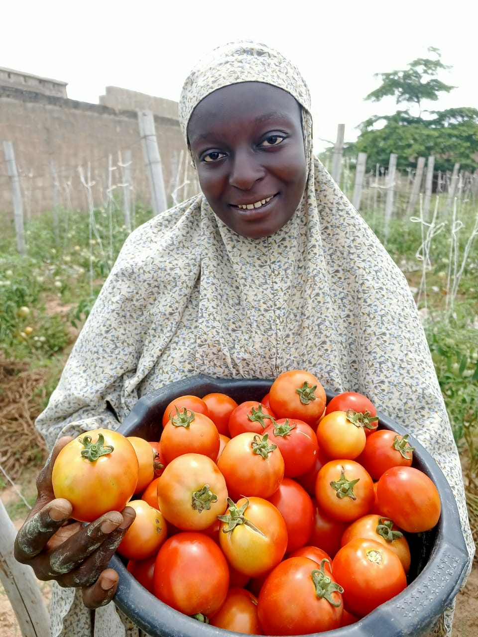 Farmer Na'ima Ado holding a basket of tomatoes
