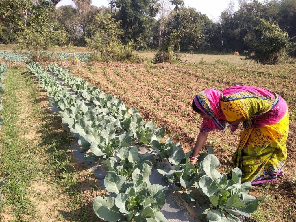 Jayanti Tarei in her field.