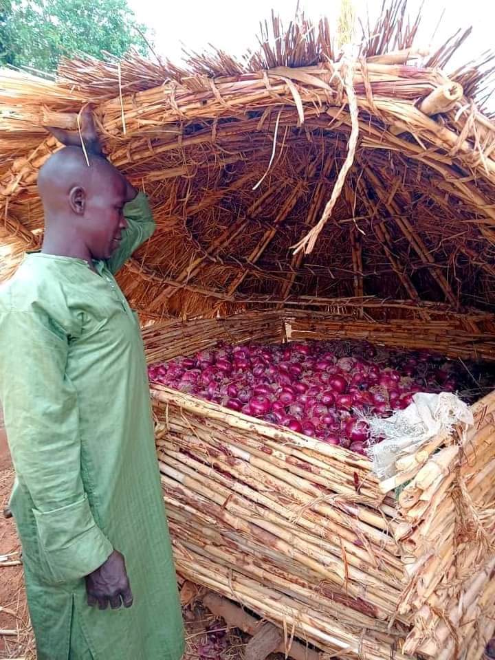 Farmer Musa Manya lifts the cover on his onion storage bin