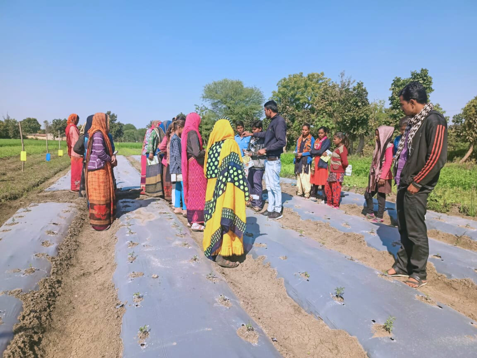 Indian Women Farmers being trained on proper use of fertilizer application