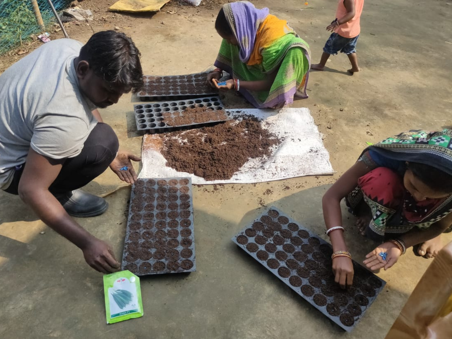 Indian farmers trained on seedling production through hands-on demonstration.