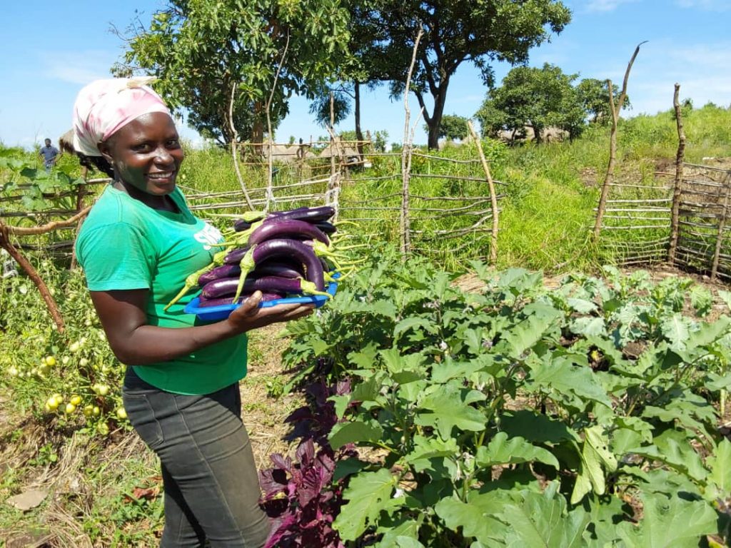 Doreen Biyiga holds a tray of eggplants in her kitchen garden