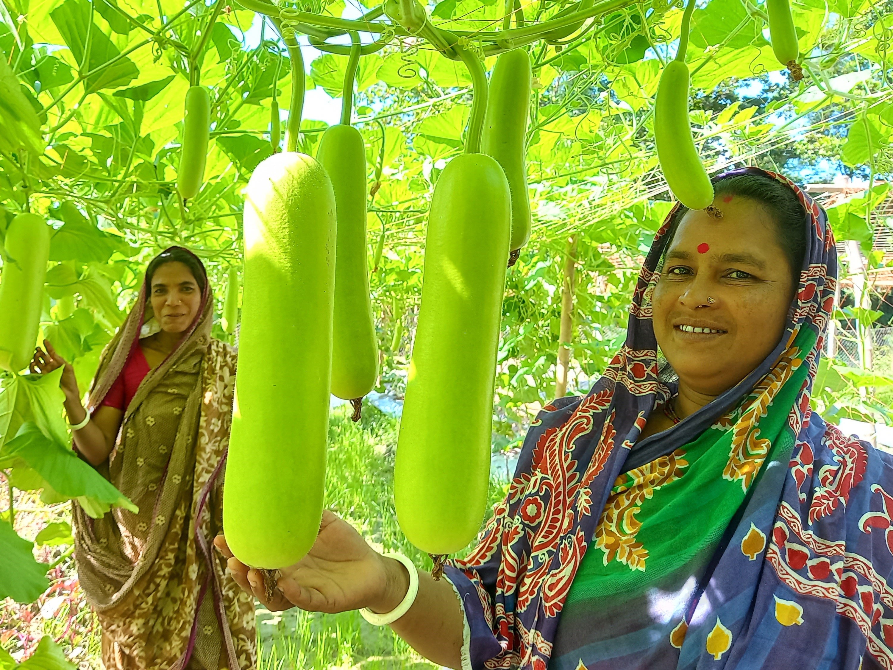 Two women farmers below hanging gourds.