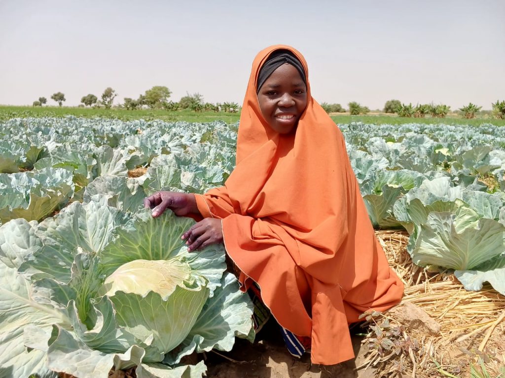 farmer Murjanatu Alhassan by rows of cabbages in Nigeria