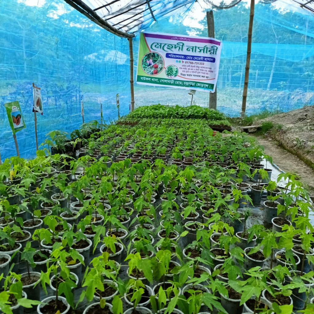 interior of plant-filled greenhouse with business sign in the back