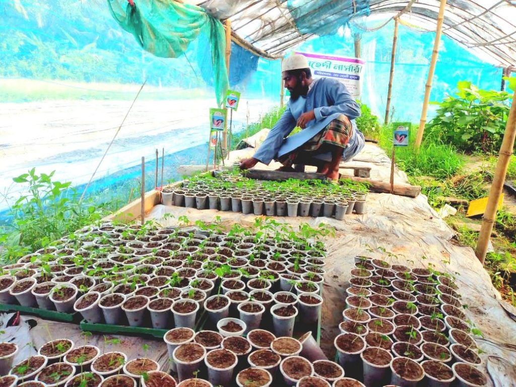 Md. Mehadi Hasan inspects some seedlings inside his seedling house
