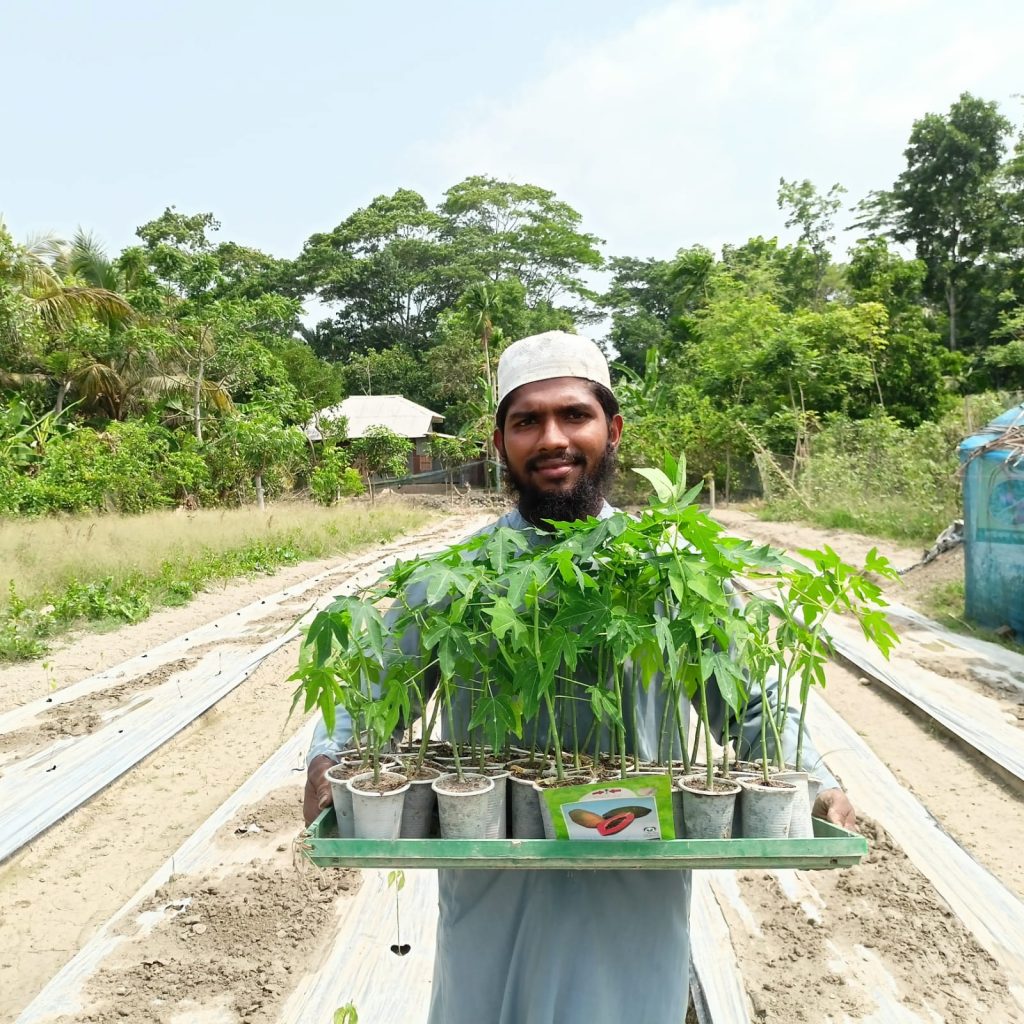 Md. Mehadi Hasan holding a tray of papaya seedlings