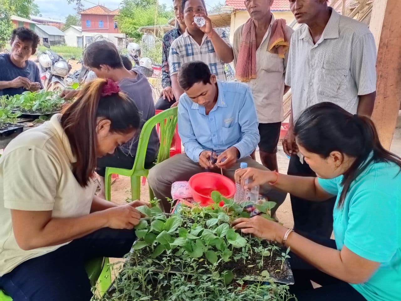 people gather around a table to learn how to graft seedlings