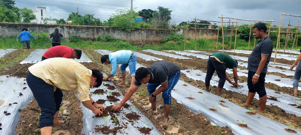 Group of people transplanting seedlings into prepared rows.