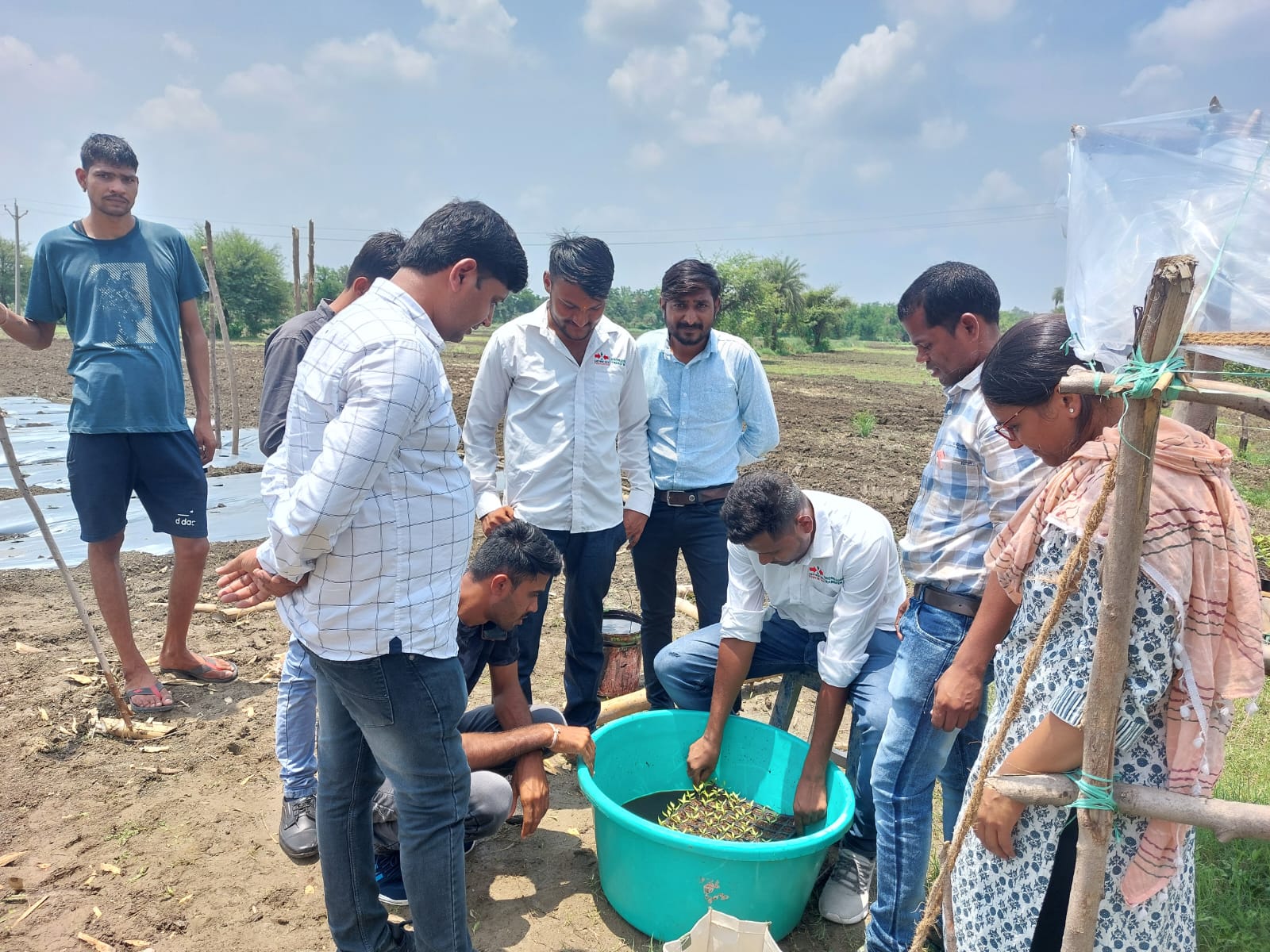 Group of farmers and EWS-KT staff drench seedlings