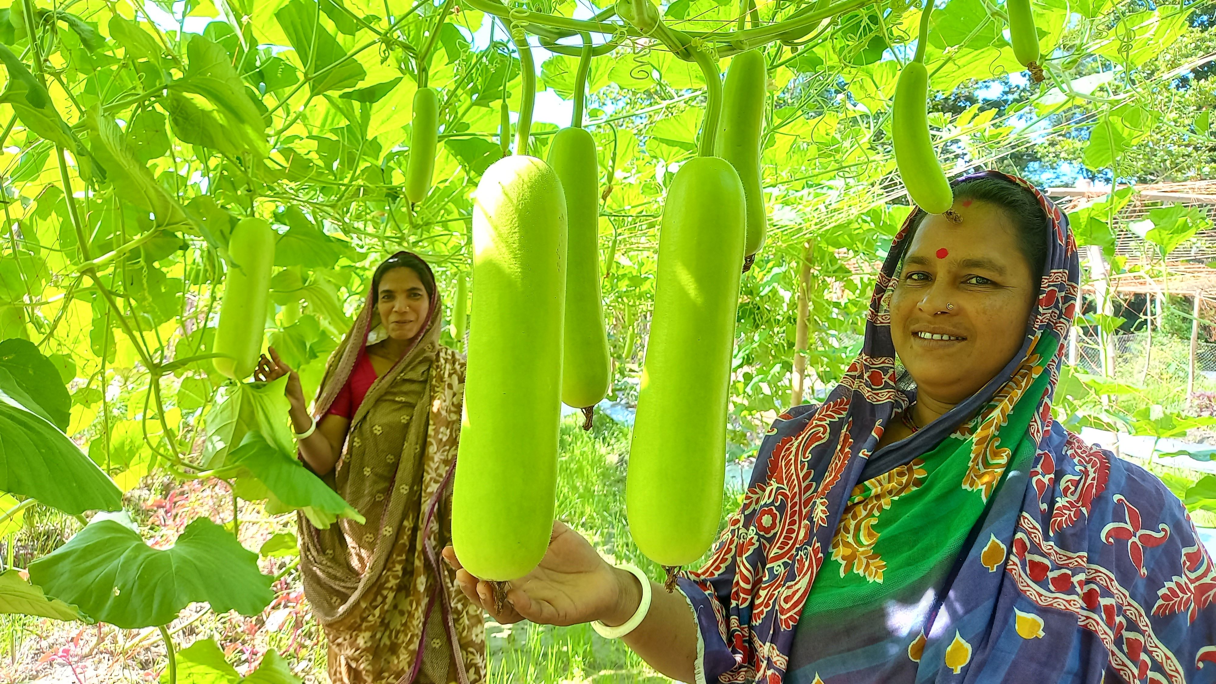 two women farmers below hanging gourds