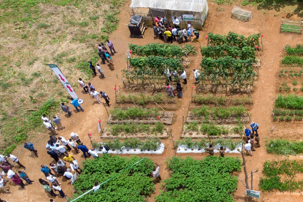 An aerial view of the learning farm, showing rows of raised beds with crops and lots of visitors.