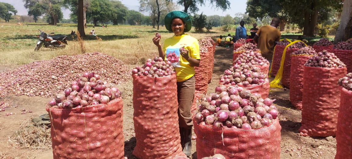 Woman with large sacks of red onions.