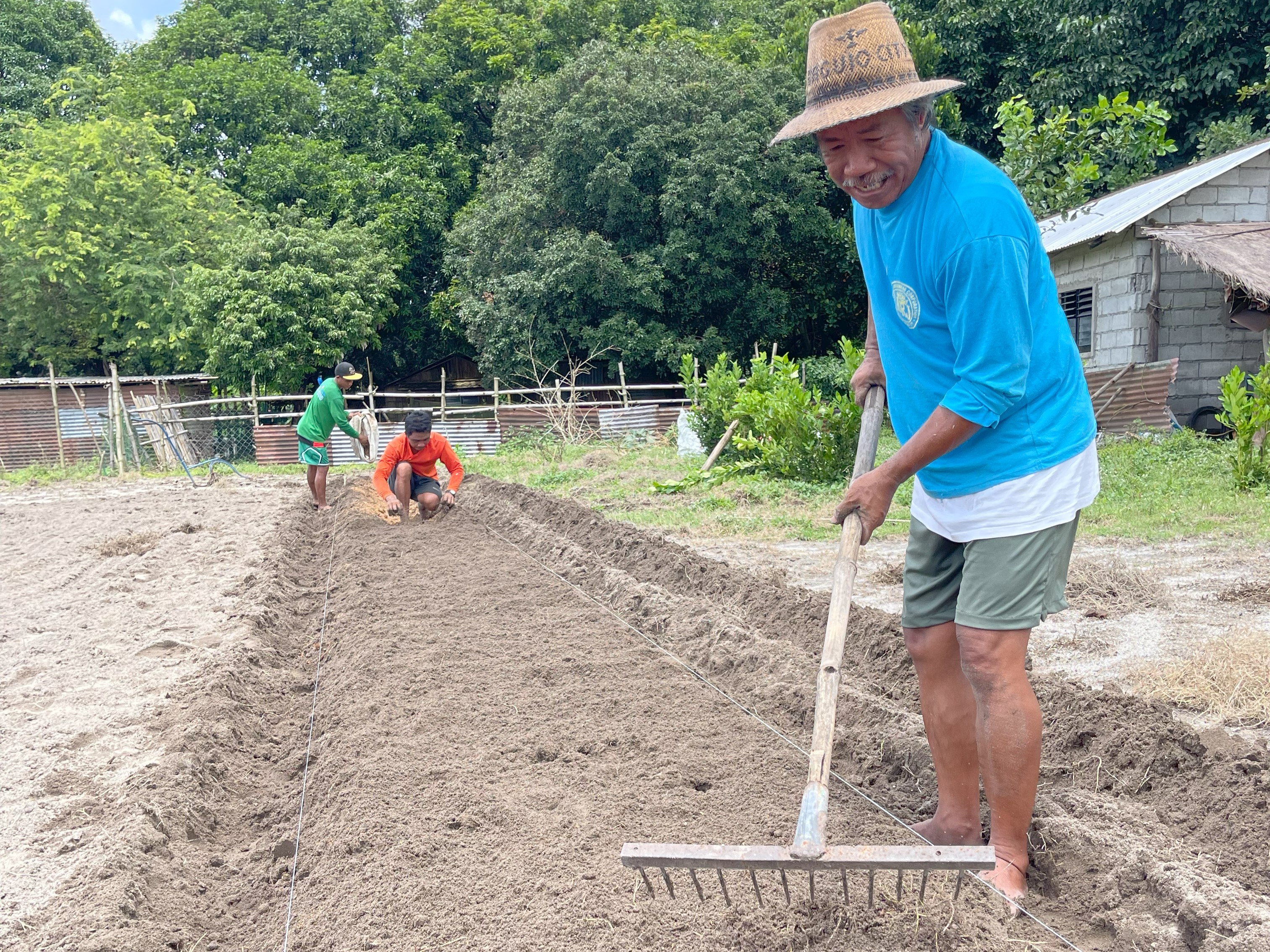 A male farmer uses a rake to prepare his raised bed