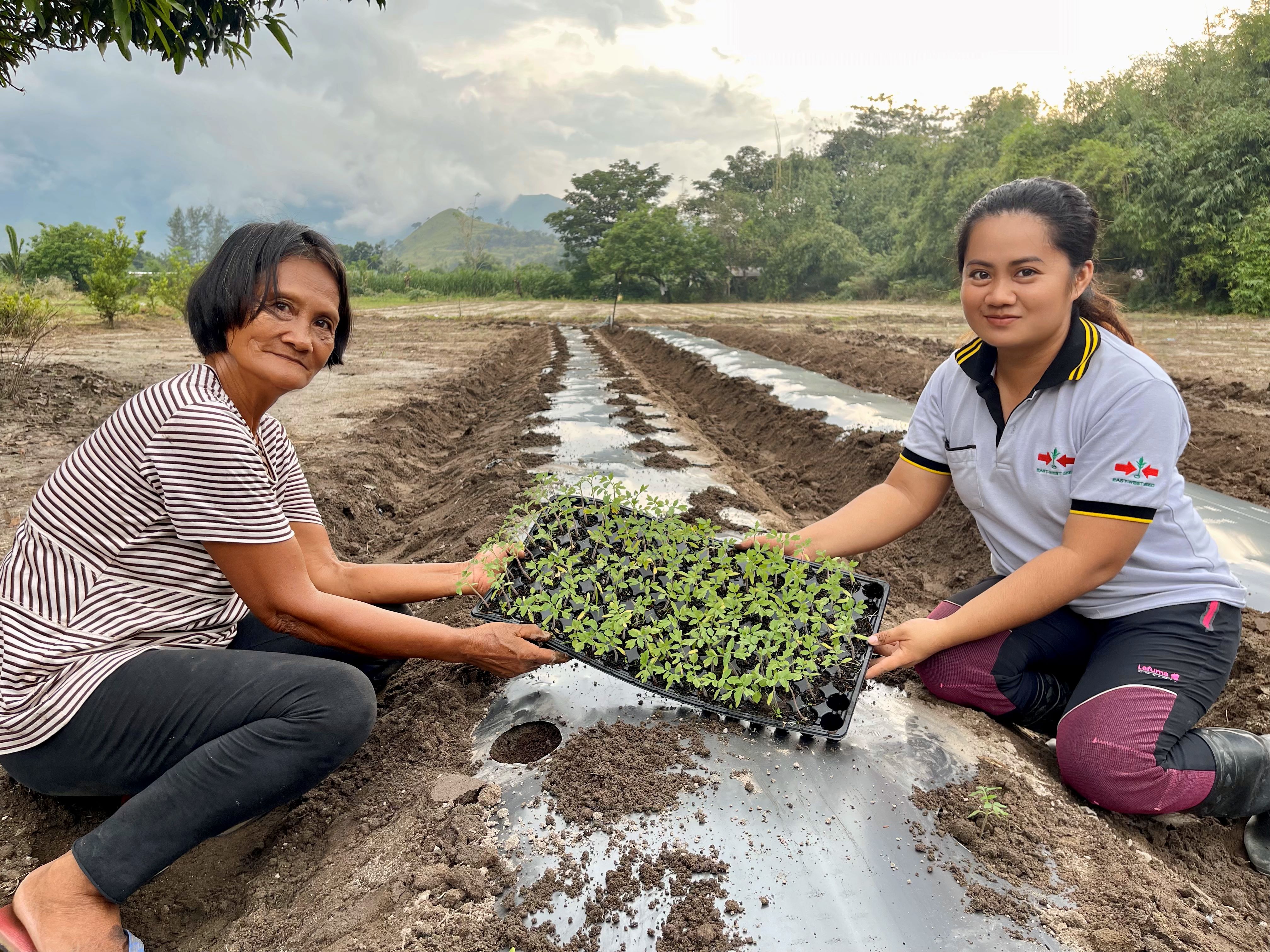 Female farmer and female trainer hold a tray of seedlings over a prepared raised bed