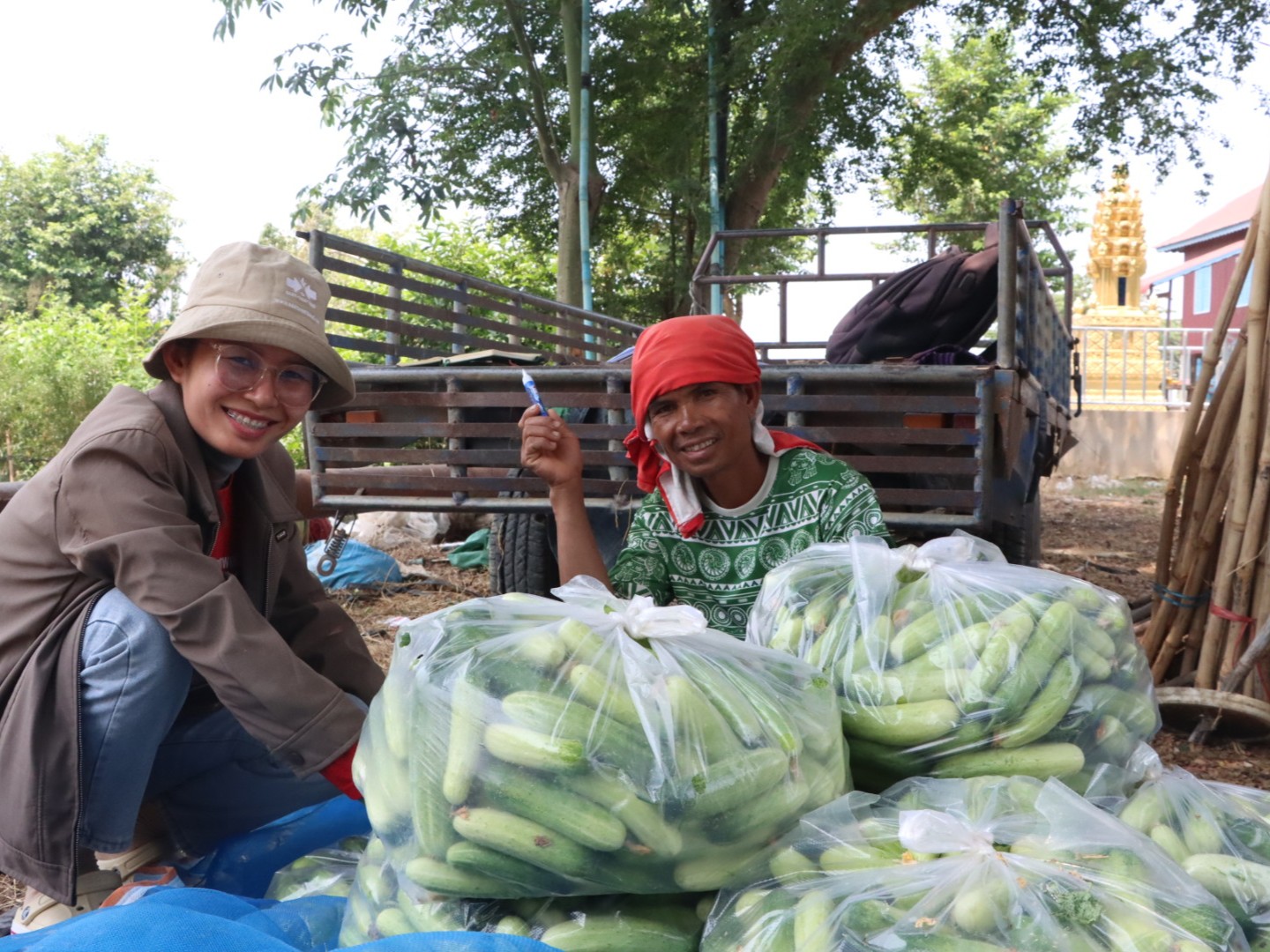 Woman and man with multiple large bags of cucumbers packed for transport in Cambodia.