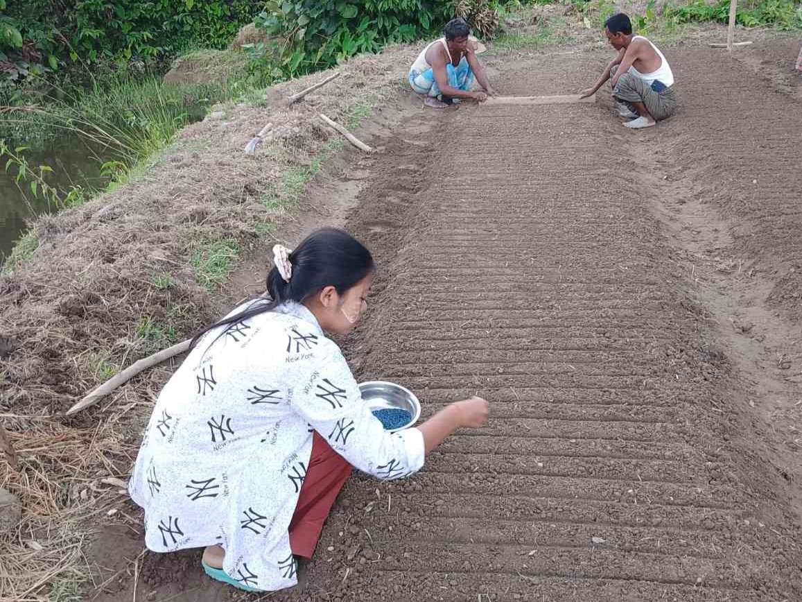 A woman and two men prepare a ground nursery to grow seedlings