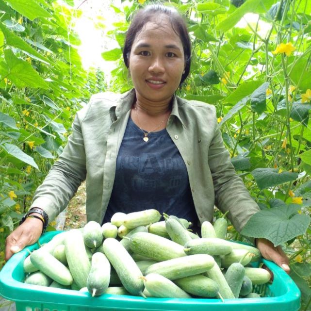 A woman farmer in Myanmar with a larger basket of cucumbers