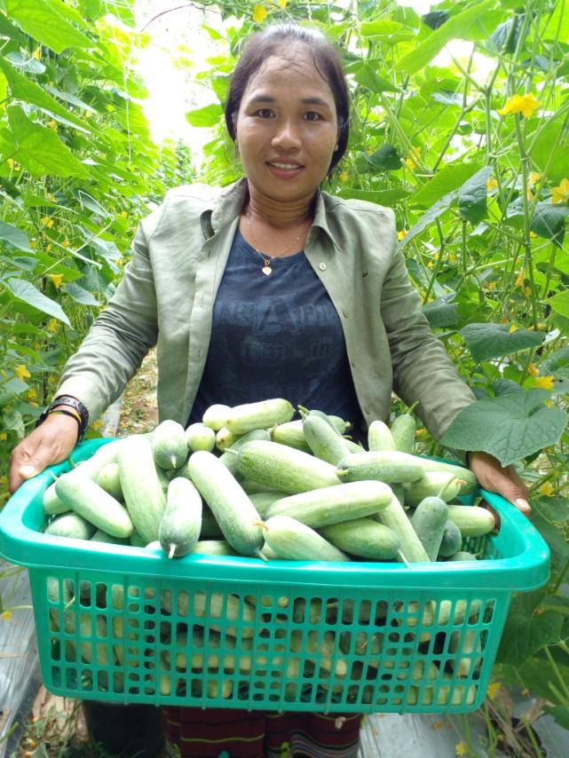 A woman farmer in Myanmar with a large basket of cucumbers