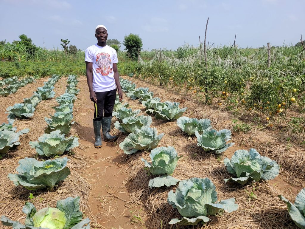 Farmer Abubakar Magaji stands in his cabbage field.