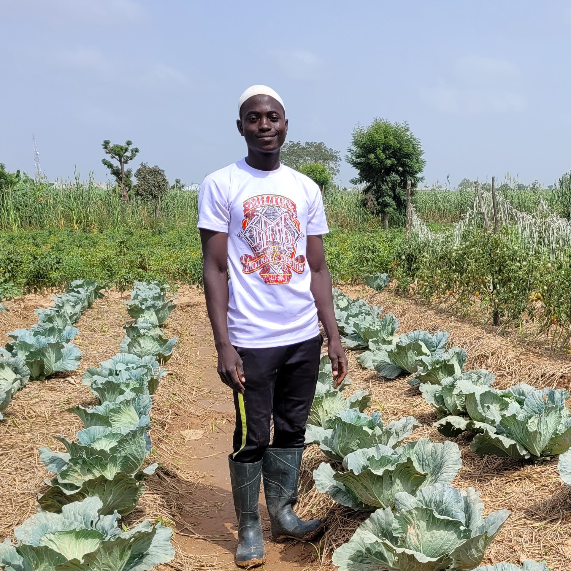 Farmer Abubakar Magaji stands in his cabbage field.