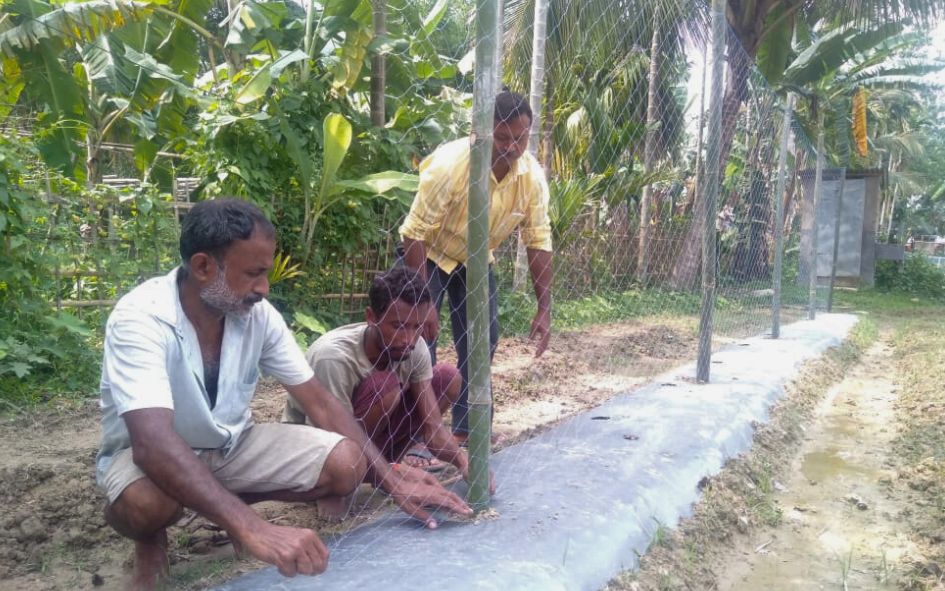 Assam Farmers - India - 2023 (3)
