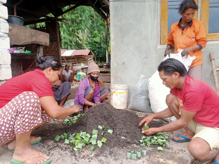 Members of the Suka Maju Women Farmer Group engaged in making leaf pots for seedlings.