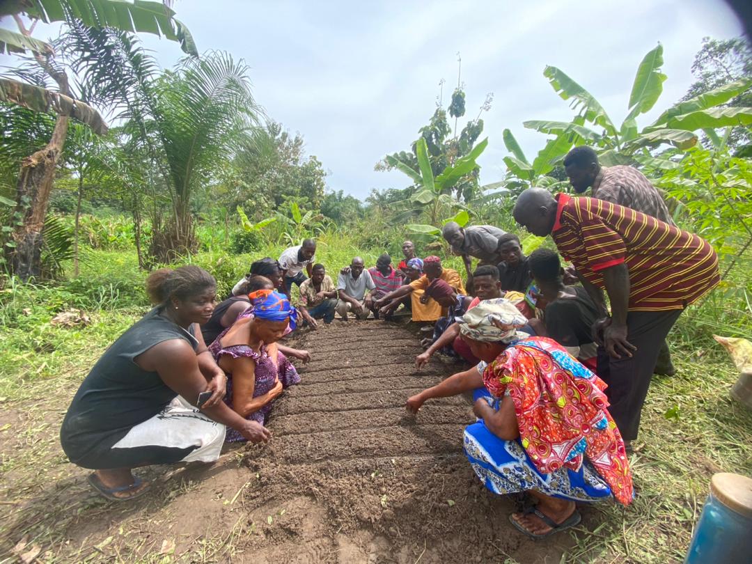 Male and female farmers preparing a bed for seedlings