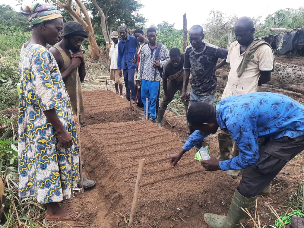 Technical Field Officer Simon Ossom demonstrates how to sow seeds as farmers look on.